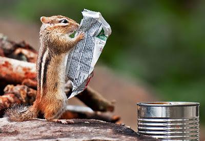 Sabias que hay animales que puede leer