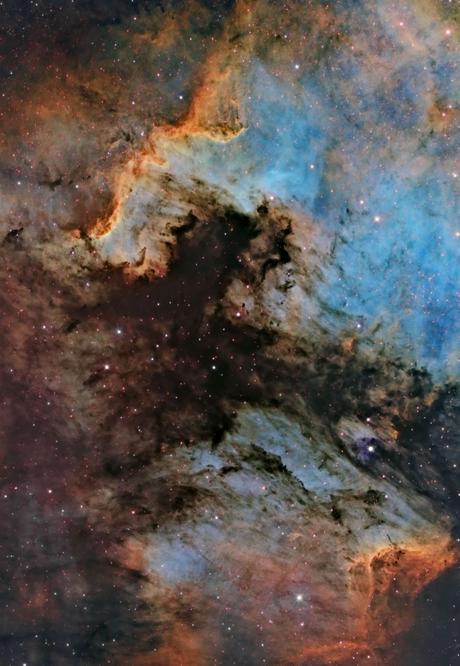 ✨El Muro de Cignus desde DownUnder Observatory