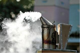 ALGUNAS PARTICULARIDADES DE LAS ABEJAS - SOME PARTICULARITIES OF BEES.