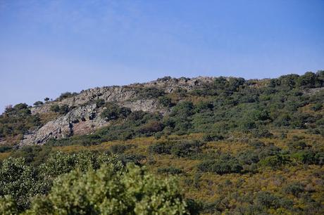 Parque Nacional de Cabañeros