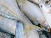 Alimentos para osteoporosis: pescado blanco azul