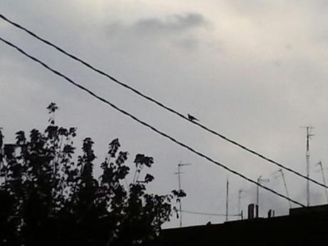 ​ Sobrevivir fuera de mí con el alma acribillada a rechaz...