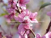 Nuestra rutina belleza