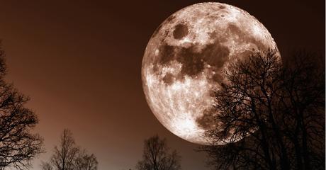 en-noviembre-podras-mirar-la-luna-de-una-forma-que-desde-hace-68-anos-nadie-ve