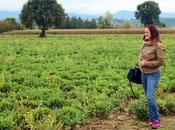 Conociendo laboratorios Aboca, productos naturales biológicos curan