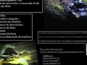 ruta brocamontes guitiriz 26/11/2016