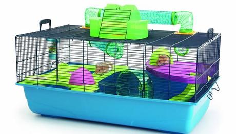 todo-lo-que-se-necesita-para-tener-un-hamster-1