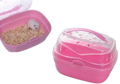 todo-lo-que-se-necesita-para-tener-un-hamster-7