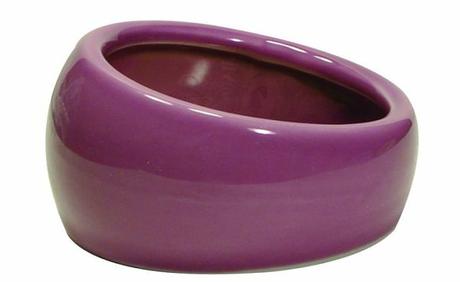 todo-lo-que-se-necesita-para-tener-un-hamster-3