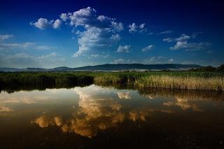 I Congreso Nacional de Ecoturismo en Daimiel (Ciudad Real)