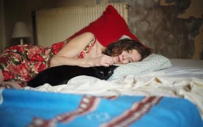 Morelia 2016... en un vistazo