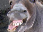 pozo mirando quien mira. Cuento zen.