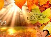 Comprar zapatos online forma sencilla