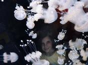 Venerdí Photosatriani