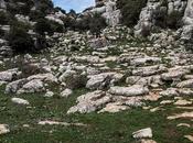 torcal antequera (málaga)
