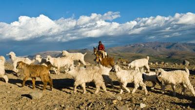 Los crianceros ya tienen su día: el 28 de abril