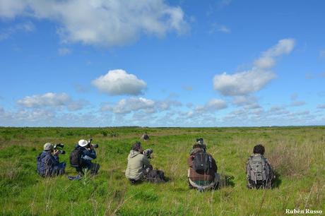 Visita a la Reserva Punta Lara