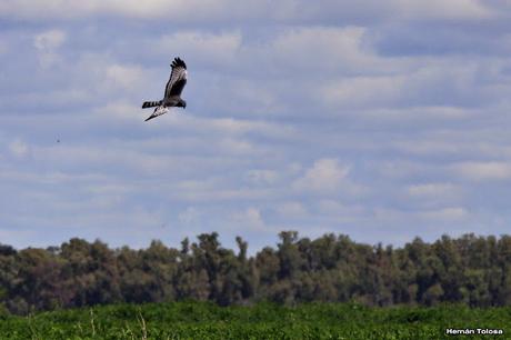 Visita a la Reserva Punta Lara