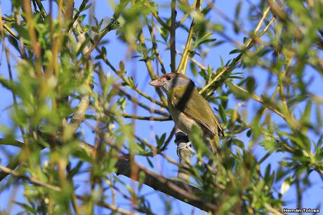 Visita a la Reserva Punta Lara