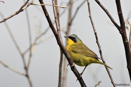 Visita a la Reserva Punta Lara