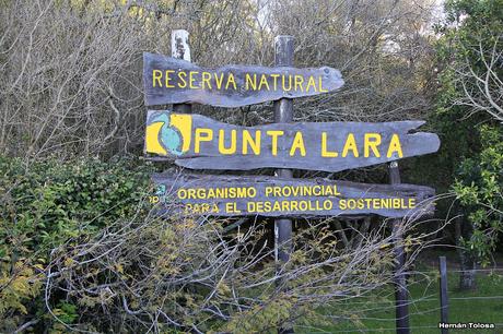 Visita a la Reserva Punta Lara