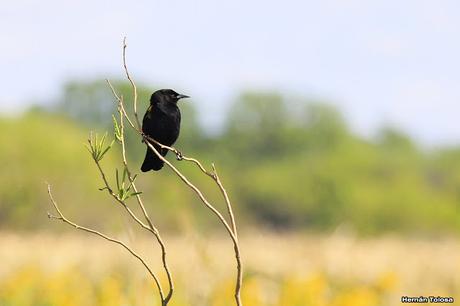 Visita a la Reserva Punta Lara