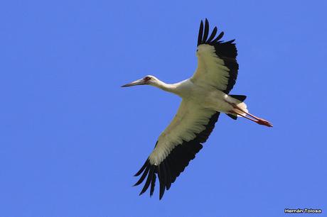 Visita a la Reserva Punta Lara