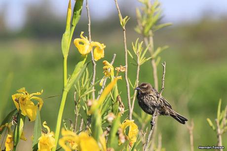 Visita a la Reserva Punta Lara