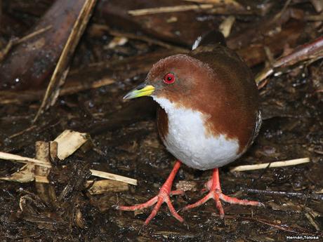 Visita a la Reserva Punta Lara