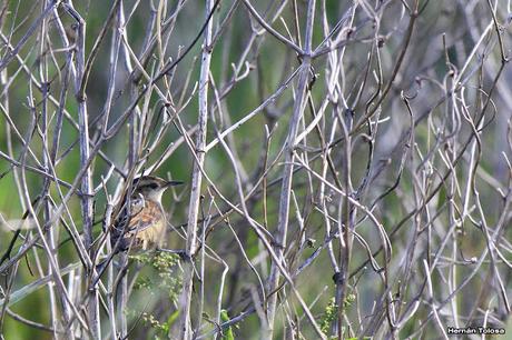 Visita a la Reserva Punta Lara