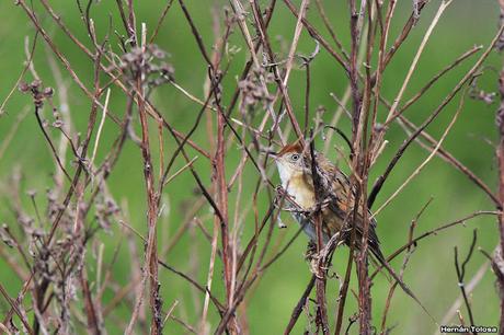 Visita a la Reserva Punta Lara