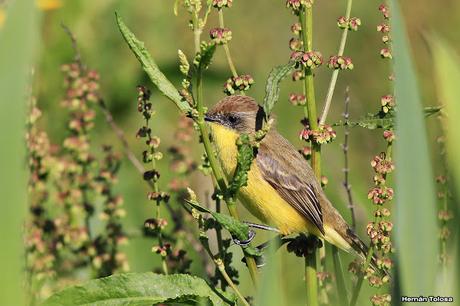 Visita a la Reserva Punta Lara