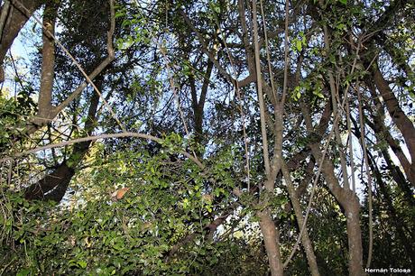 Visita a la Reserva Punta Lara