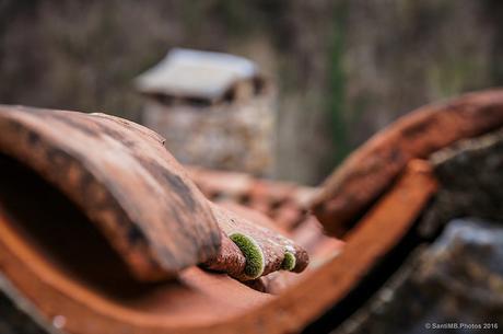 Por donde fluye la lluvia