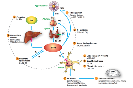 captura-de-pantalla-2016-10-22-a-las-13-25-06