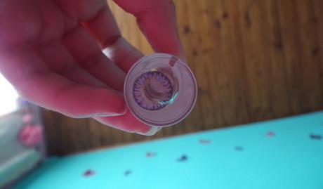 Review | Bunny 3color Violet [KLENSPOP]