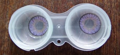 Review | Bunny 3color Violet [KLENSPOP]