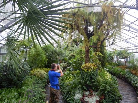 Allan Gardens Conservatory de Toronto