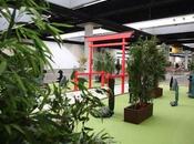 Exposiciones bonsáis, kimonos, samuráis, cerámica pintura tradicional japonesa XXII Salón Manga Barcelona