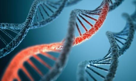 El ADN de otras criaturas será el secreto para la regeneración de extremidades perdidas