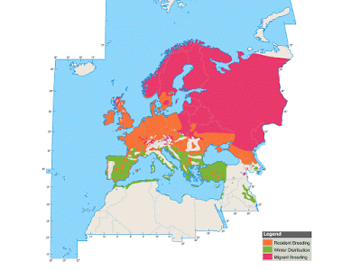 Llegan los palustres