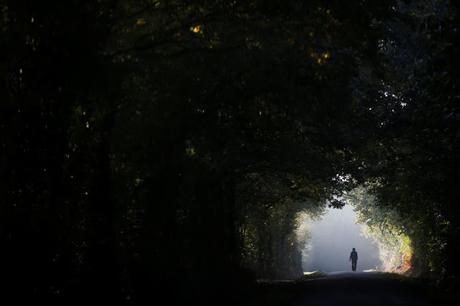 [Resumen de prensa] Lo mejor de la semana del 17 al 23 de octubre de 2016