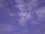 "globo ovni" grabado Ciudad Guadalupe