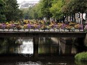 Quimper, ciudad medieval invadida flores multicolor