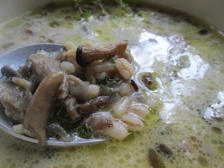 SOPA DE SETAS Y TRIGO