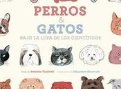 Perros gatos
