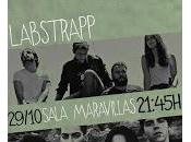 Labs Trapp Wold Maravillas Club