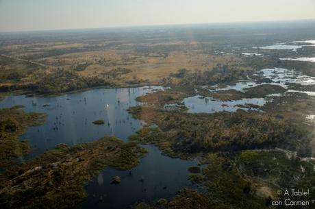 Safari en Botswana, Sobrevolando el Delta del Okavango