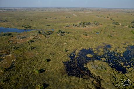 Safari en Botswana, Sobrevolando el Delta del Okavango