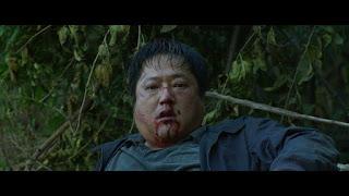 EXTRAÑO, EL (Waitling, the) (Goksungaka) (Corea del Sur, 2016) Intriga, Fantástico